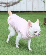 ピンク(63)