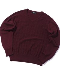 Men's Bigi/12GへリンボンジャガードVネックニット/504939947