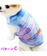 その他系2(パターンC)