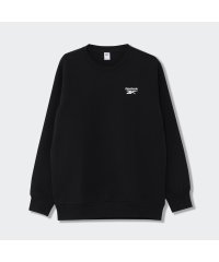 Reebok/COMM INTL CREW SWT/504978870