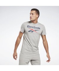 Reebok/グラフィック シリーズ リーボック スタックト Tシャツ / Graphic Series Reebok Stacked Tee/504979170