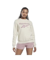 Reebok/リーボック アイデンティティ ロゴ フリース クルー スウェットシャツ / Reebok Identity Logo Fleece Crew S/504980761