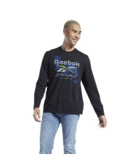 Reebok/グラフィック シリーズ プレシーズン ロング スリーブ Tシャツ / Graphic Series Pre－Season Long Sleeve/504980837