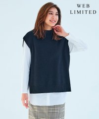 J.PRESS LADIES（LARGE SIZE）/【WEB限定カラーあり・洗える】AZALEA ニットベスト/504986461