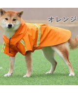 オレンジ