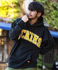 SB Select/Dickies カレッジロゴ裏毛プルパーカー フーディー/505010204