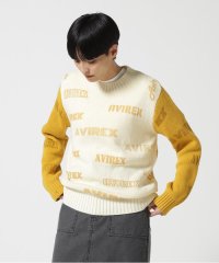 AVIREX/LOGO KNIT/ ロゴニット/504906163