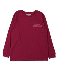 ゴートゥーハリウッド/ゴートゥーハリウッド GO TO HOLLYWOOD 天竺 TAKESHI WADA ノイジーバード Tシャツ/505038827