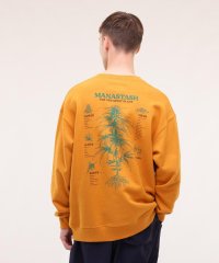 MANASTASH/MANASTASH/マナスタッシュ/CASCADE SWEATSHIRTS TGP/505050525