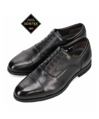 BASSANO/【GORE－TEX】ビークラシック BEE CLASSIC　内羽根ストレットチップ・ビジネスシューズ  SPCB7044G/505035910