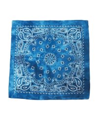 BACKYARD FAMILY/Bandanna COLLECTION/505096281