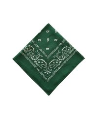 BACKYARD FAMILY/PAISLEY BANDANNA/505096411