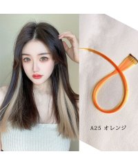 shoppinggo/ショッピングゴー shoppinggo カラーエクステ 36色 ウイッグ エクステ ワンタッチ つけ毛 自然 グラデーション エクステンション コスプレ ハロウ/505108600