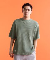 セージ1