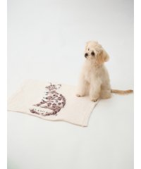 GELATO PIQUE CAT＆DOG/【CAT&DOG】【販路限定商品】　ねこ柄ブランケット/505126881