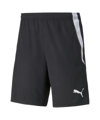 PUMA/メンズ サッカー TEAMLIGA トレーニング ショーツ/504837535