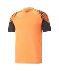 PUMA/メンズ サッカー INDIVIDUALCUP トレーニング 半袖 シャツ/505148193