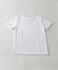 Nylaus/スリムフィット ショートスリーブ パイル クルーネックTシャツ/505167305