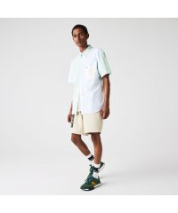 LACOSTE Mens/クレイジーストライプボタンダウンシャツ/505172367