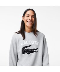 LACOSTE Mens/ビッグクロックカレッジロゴクルーネックスウェット/505172682