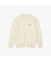 LACOSTE Mens/エッセンシャルケーブルニットセーター/505172838