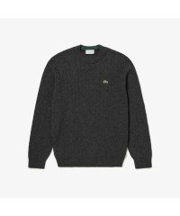 LACOSTE Mens/エッセンシャルケーブルニットセーター/505172838