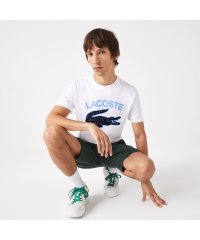 LACOSTE Mens/カレッジプリントTシャツ/505173165