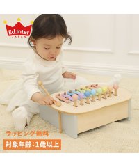 Ed・Inter/GENI ジェニ 鉄琴 楽器 ミルキートイ スウィートメロディーメーカー 1歳半から 知育玩具 エドインター Ed・Inter 男の子 女の子 822746/505160691
