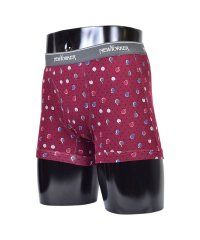 NEWYORKER HOME/ニューヨーカーホーム NEWYORKER HOME ボクサーパンツ メンズ 前開き ボクサーブリーフ インナー アンダーウェア パンツ 下着 BOXER BRI/505186306