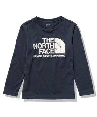THE NORTH FACE/ザ・ノース・フェイス/キッズ/L/S TNF Bug Free Graphic Tee (ロングスリーブTNFバグフリーグラフィックティー)/505191360