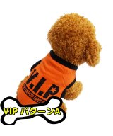 その他系3(VIPパターンA)