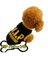 その他系4(VIPパターンB)