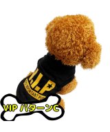 その他系5(VIPパターンC)