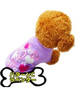 ラベンダー系1