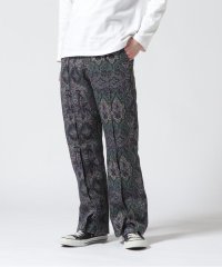 GARDEN/TAUPE/トープ/Paisley Pleats Trousers/505211006