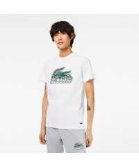 LACOSTE Mens/ニューグラフィックプリントクルーネックTシャツ/505213114