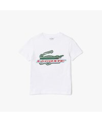 LACOSTE KIDS/BOYS アレンジグラフィックプリントクルーネックTシャツ/505213123