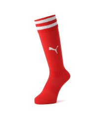 PUMA/キッズ サッカー ラインイリ ストッキング/504568451