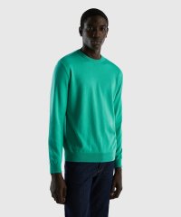 BENETTON (mens)/コットン100％無地クルーネック長袖ニットセーター/505206156