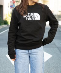 THE NORTH FACE/THE NORTH FACE ノースフェイス スウェット/505224538