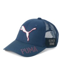 PUMA/ウィメンズ ゴルフ ツアー パフォーマンス キャップ/505229484