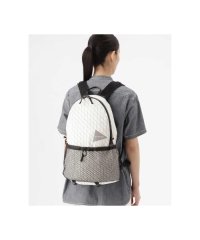 BEAVER/and wander/アンドワンダー　X－Pac 20L daypack　5743975090/505232485