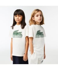 LACOSTE KIDS/BOYS ラバープリントTシャツ/505247030