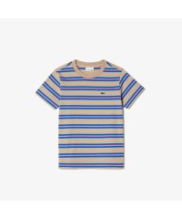 LACOSTE KIDS/BOYS ボーダーTシャツ/505247033