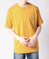 マスタード
