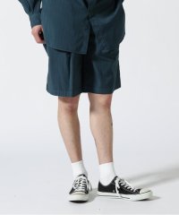 GARDEN/YOKE/ヨーク/Garment Dye Stripe Belted Wide Shorts/505255441
