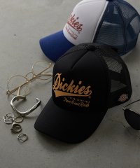 Dickies/Dickies Urethane mesh CAP A/505258966