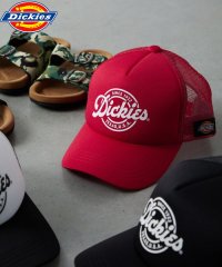 Dickies/Dickies kids Urethane mesh CAP C/505258971