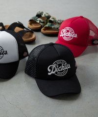 Dickies/Dickies kids Urethane mesh CAP C/505258971