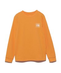 THE NORTH FACE/【THE NORTH FACE】L/S Graphic Tee/505273880